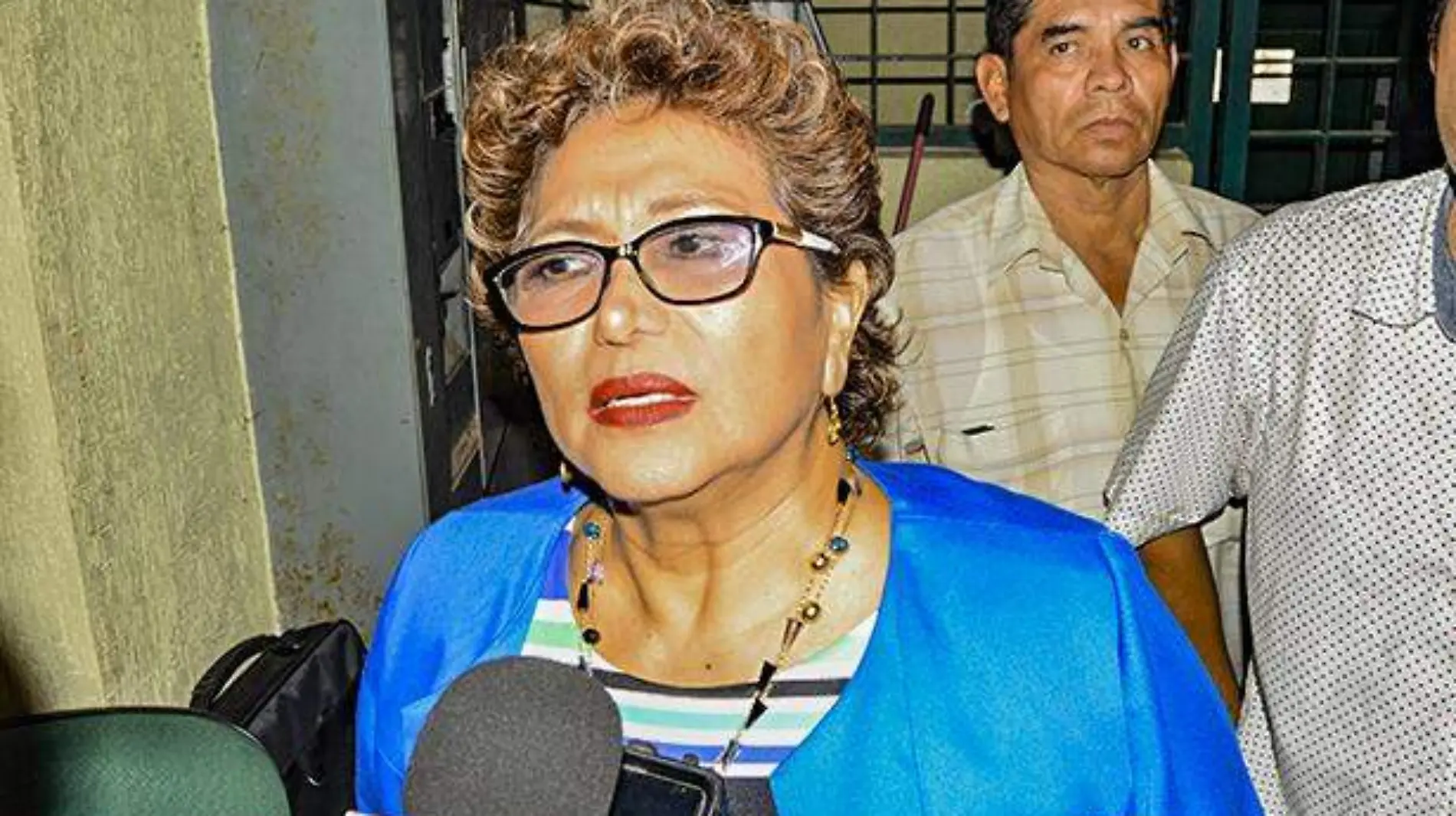 Adela roman - listo gabnete para la transición